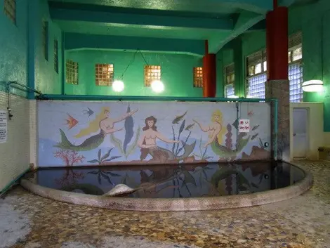 At the very basic comfort, Asakusa Kannon Onsen offers a good idea of the tradition of Japanese public baths.