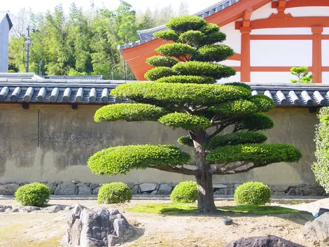 Jardín del Rito del templo Horyuji. Jardín del Rito del templo Horyuji.