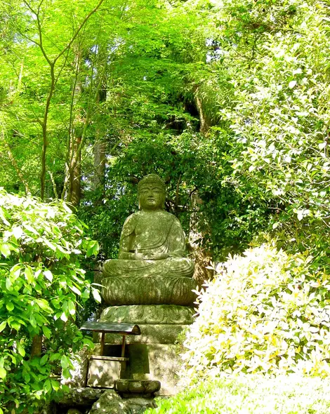 Temple Ryôanji