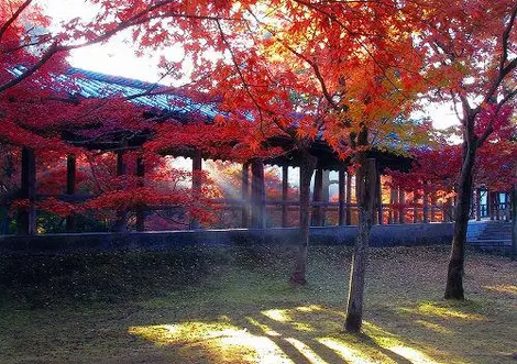 Tofukuji Temple