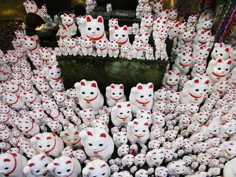 El templo  Gotoku-ji es un complejo muy grande donde las estatuas felinas se concentran en un solo altar.