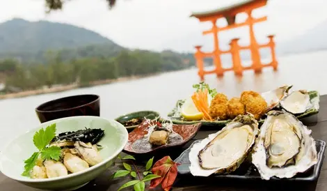 Huîtres de Miyajima