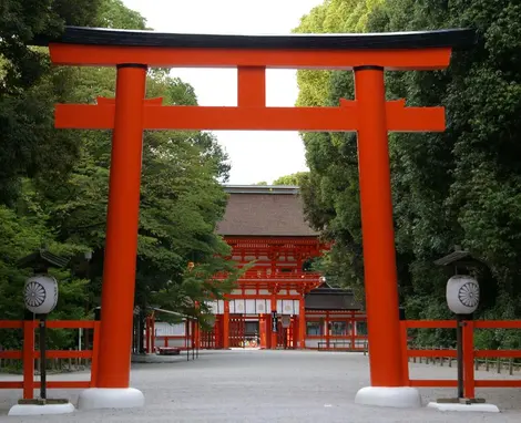 Torii del Shimogamo-jinja.