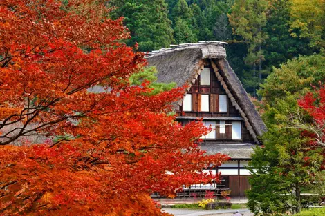 Casa tradicional de Hida no Sato.