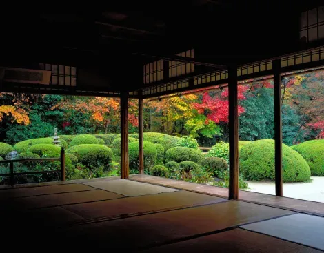 Temple Shisen-dô