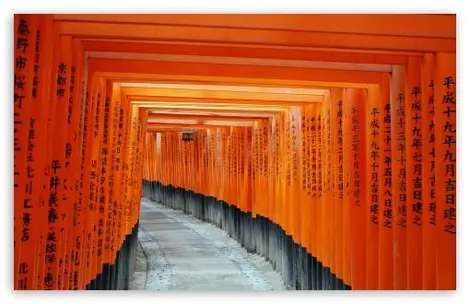 Torii of Fushimi Inari Taisha