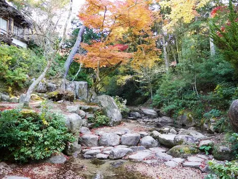 Parc Momijidani à Miyajima