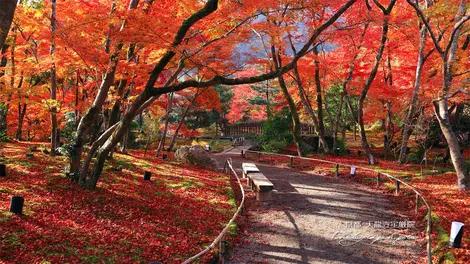 Arashiyama