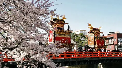 Desfile de carrozas bajo los cerezos en flor durante el Sannō Matsuri en Takayama