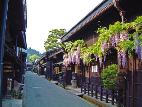 Las glicinas en el vecindario Sanmachi-Suji.