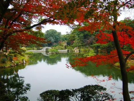 Shukkei-park in Hiroshima