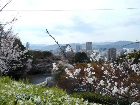 Parco Hijiyama-Koen di Hiroshima