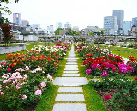 Hermosos caminos del Nakano Shima Koen.