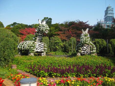 Zebras florales del parque Tennoji.