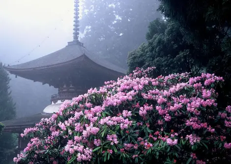 templo Kongo sanmai-in.