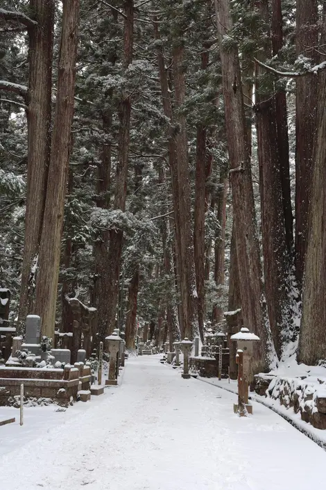 Cimetière Okunoin à Koyasan