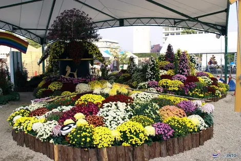 Festival de las flores en Hiroshima.