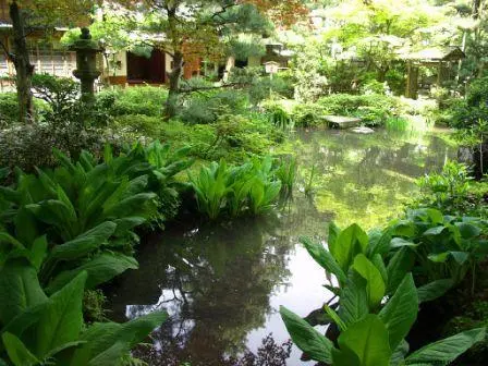 Jardin Gyokusen-en