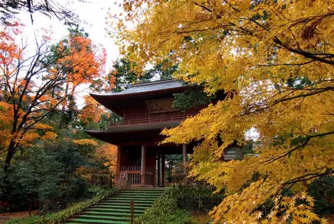 Puerta del templo Daijoji con los colores de otoño.