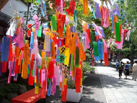 Los deseos se cuelgan de ramas de bambú durante el festival de Tanabata