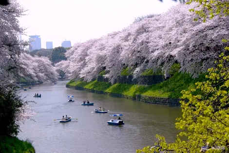 Le gite in barca sul fiume Sumida (Tokyo), una delle attività più rilassanti a Tokyo.