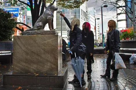 La statut du chien Hachikô à Shibuya est un lieux de rendez-vous majeur.