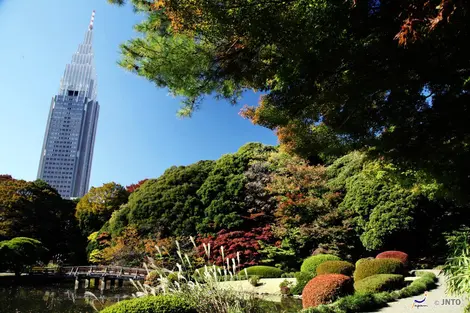 Shinjuku Gyoen Shinjuku Gyoen