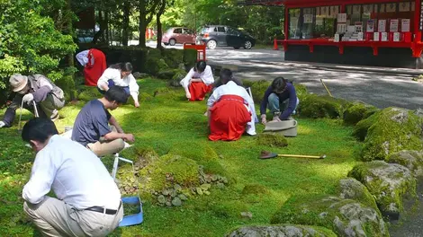 Hakone Jinja