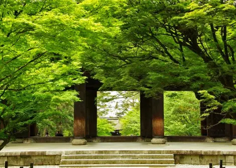 Entrada al templo Nanzenji.