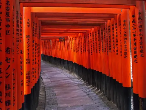 Les enfilades de torii (portiques sacrés) du sanctuaire Fushimi Inari à Kyoto