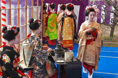 Geishas servieren Tee anlässlich des Baika Sai-Festivals