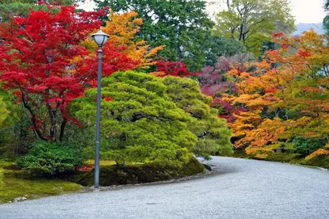 Villa Shugaku-in