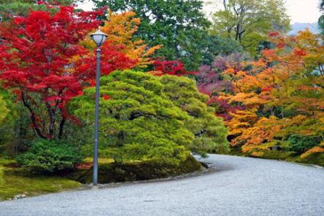 Colores de otoño en el jardín de la Villa Shugaku-in.