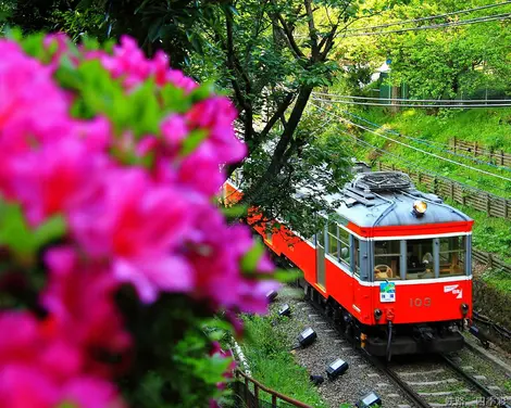 Le train d'Hakone. Hakone