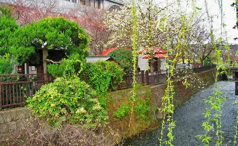 Las riberas del Shinbashi. Las riberas del Shinbashi.