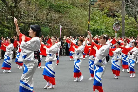 Hakone Daimyo Gyoretsu festa