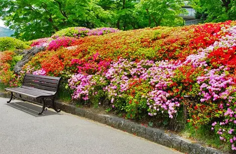 Hakone Gora Kuen.