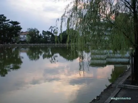 Etang Sarusawa