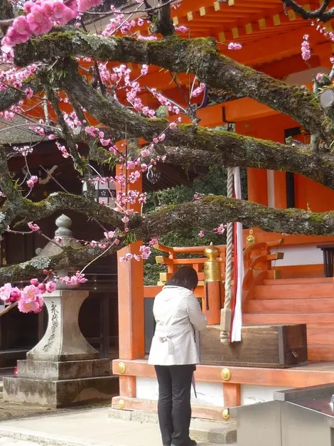 Dans la religion shinto, pour invoquer les dieux, sonnez la cloche, inclinez-vous deux fois, taper deux fois dans vos mains, priez puis retaper une fois dans vos mains. 