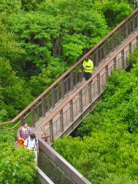 El parque tiene bosques donde puedes encontrar obras de arte. El parque tiene bosques donde puedes encontrar obras de arte.