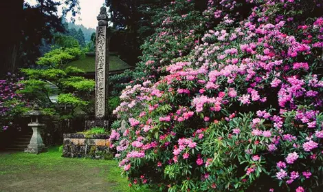 Kongô Sanmai-in Kongô Sanmai-in