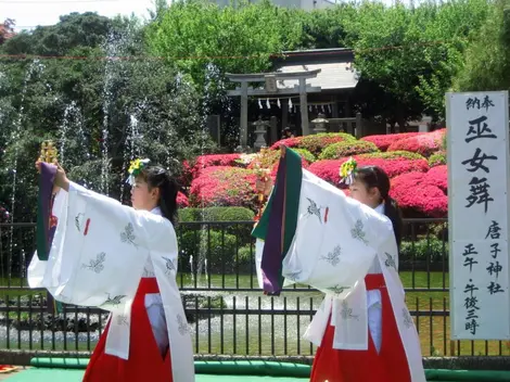 Sacerdotisas sintoístas.