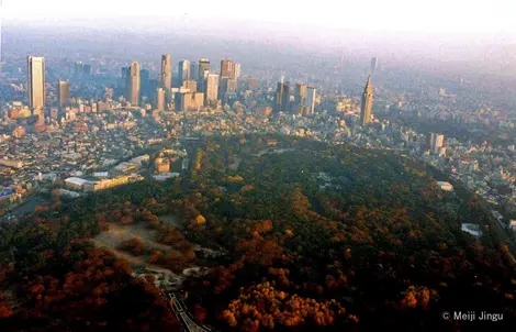 Avec ses 70 hectares, le parc Yoyogi est le poumon vert de Tokyo.