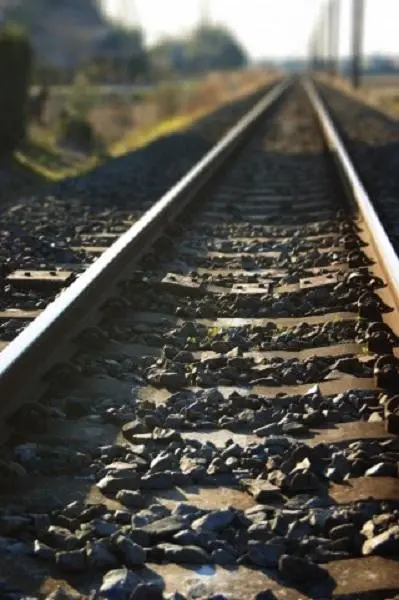 L'ekiben, "vassoio pasto venduto alla stazione", si gusta durante un viaggio in treno.