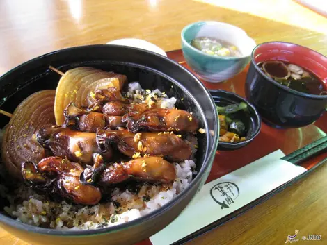 Hiroshima oysters kakidon