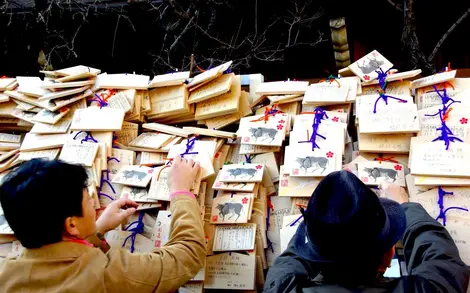 A ema is a wooden plaque containing prayers or wishes found in the Shinto temples in Japan.