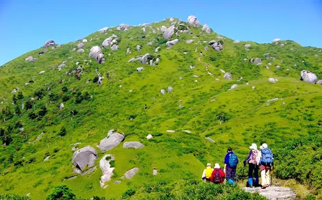 Yakushima Yakushima