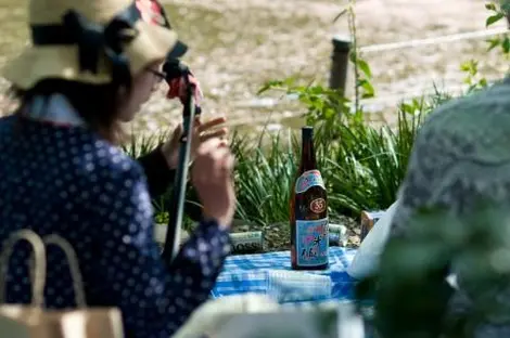 Le hanami est la période idéale au Japon pour se détendre et se relaxer.