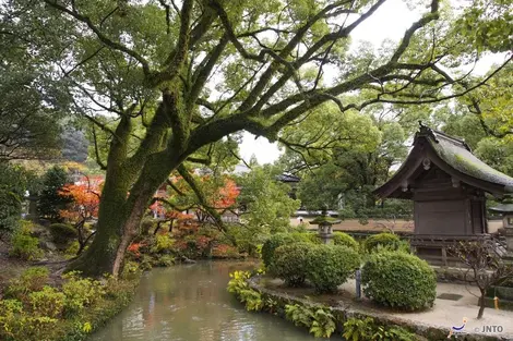 dazaifu