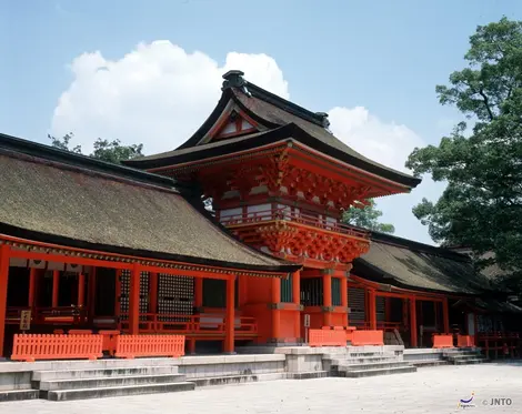 Usa-Jingu Usa-Jingu